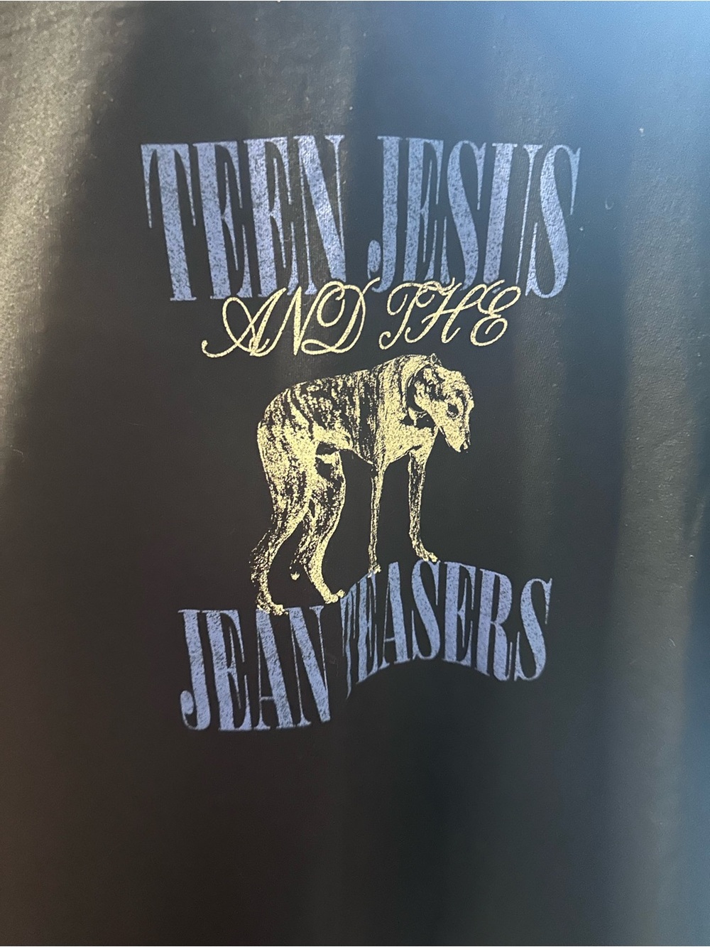 Teen Jesus And The Jean Teasers Graphic T Shirt Black Mens Large Indie
